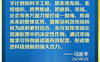 忠信联盟，构建诚信社会的基石