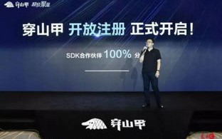什么广告联盟打广告好，深度解析与推荐