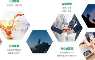 信誉铸就双赢，探索高信誉广告联盟的商业价值