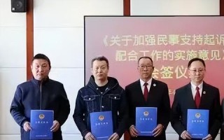 联盟-P.CN，重塑数字时代的合作生态