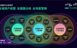 CPA广告最高单价30元471000IP详解，一场数字营销中的精准与效益博弈