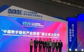 中易广告联盟系统，打造高效广告合作，实现共赢新局面
