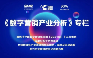 六六广告联盟，打造高效广告推广，引领数字营销新风尚