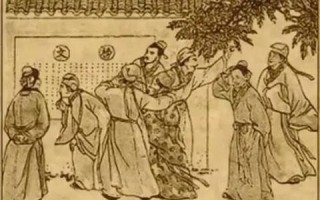 财驴广告广告联盟，重塑数字营销新生态