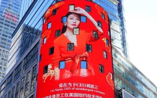 丽人宫广告联盟，打造女性魅力，引领时尚潮流