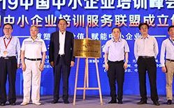 99联盟，重塑电商生态，引领新零售革命