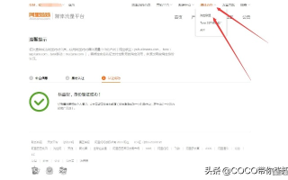 淘宝联盟网站推广提交审核流程及时间解析