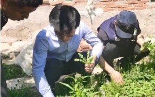 爱联盟，编织梦想，共筑未来