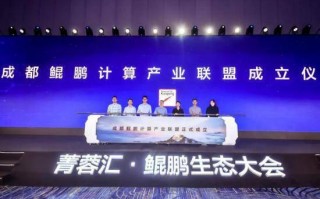 团成联盟，携手共创未来，共赢数字经济时代