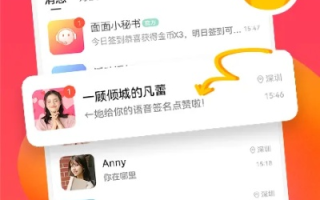 265交友联盟，打造多元化社交平台，连接全球友谊的桥梁