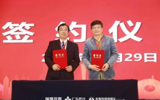 龙凤联盟，携手共进的创新之路