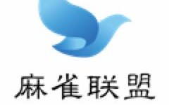 无网站广告联盟，重塑网络营销生态的纯净力量