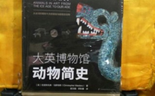 聚书成海，阅见未来，探索聚书屋的无限可能