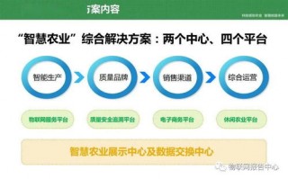 揭秘贼盘网，网络盗窃背后的黑色产业链与防范措施