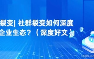 御风网盟，重塑数字时代下的社群互动新生态