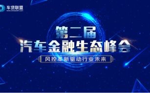 高价日结算联盟，重塑电商支付生态，引领未来消费新趋势