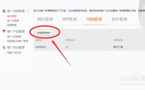 淘宝联盟如何推广至自己的淘宝店，策略与实践