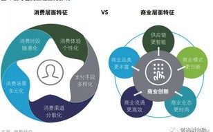 中易广告联盟系统，重塑数字营销新生态