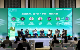 蚂蚁联盟，重塑生态，共筑绿色未来的创新实践