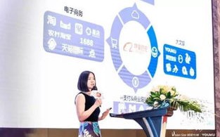 智多星移动传媒，重塑未来传媒生态的先锋力量