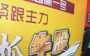 东巴网盟，探索古老文明与现代网络融合的奇迹