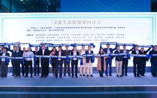 中国第一站长联盟，携手共创互联网新生态