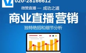 变现猪广告联盟，解锁互联网营销新纪元，实现流量变现的秘诀