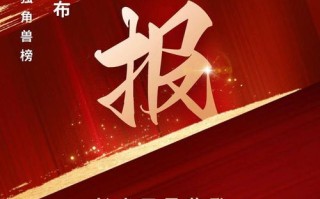 重塑全球商业版图，顶峰联盟的崛起与影响