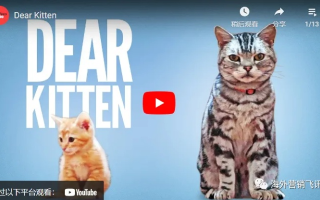 Ad LeMeow，猫咪品牌的创意营销与社交媒体风潮