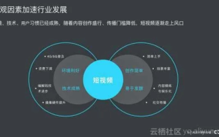 木木流量联盟，打造高效流量变现的秘诀