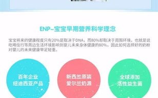日付广告联盟哪家优势好，深度剖析与比较