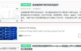 网站放谷歌广告，还可以放其他联盟广告吗？