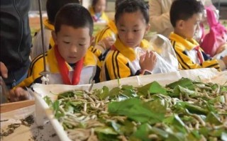 探索广告平台奥秘，为何我们要深入了解并善用广告平台