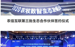 第一空间广告传媒，重塑数字时代广告新生态
