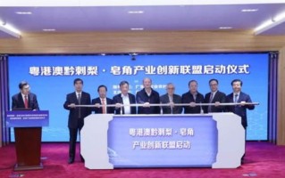 908联盟，重塑产业生态，引领科技创新新纪元