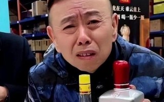 网络广告能否完全取代传统广告，一场多维度的审视