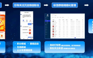 天骄分销联盟，重塑电商生态，引领数字营销新纪元