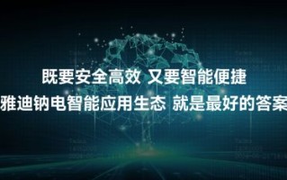 乐行移动，重塑未来出行方式的科技先驱