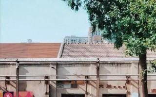 盒子联盟，重塑未来零售的新篇章