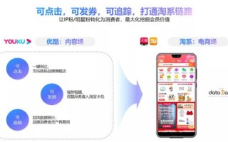 流量宝刷的IP能通过广告联盟审核吗？