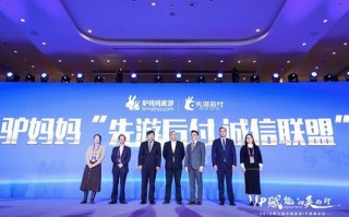 周付联盟，重塑消费生态，引领支付新纪元