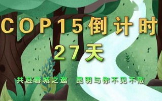 大象联盟，重塑自然与人类共生的新篇章