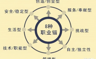 精准领域，解锁个人与职业发展的新钥匙