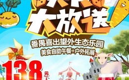 哇哇联盟，重塑儿童教育新生态的奇妙旅程