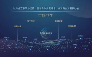 探索无广告联盟，打造纯净合作生态的新路径