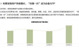 CPC广告联盟，重塑数字营销生态的高效策略与未来展望