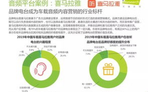绿网广告联盟，打造绿色网络生态，引领数字营销新风尚