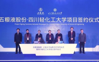 重塑全球价值链，顶峰联盟引领合作新纪元