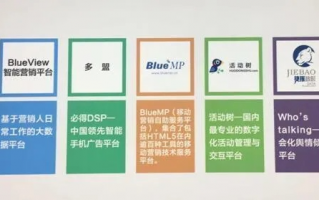 左岸广告联盟，重塑数字营销新生态的领航者