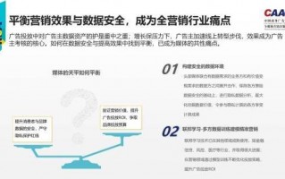 投放者广告联盟，重塑数字营销生态，引领精准营销新时代